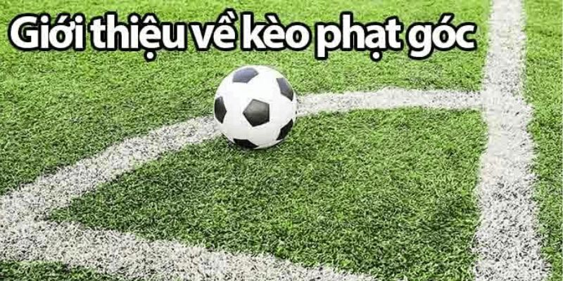 kèo phạt góc là gì